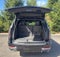 2026 Cadillac Escalade 4WD Luxury